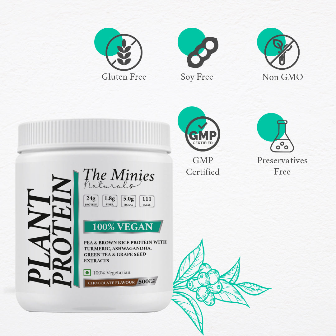 Buy Vegan Plant Protein Chocolate Flavour Online | The Minies | The Minies